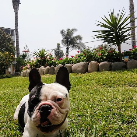 Mi Pequeno Club Hotel Lima Kültér fotó