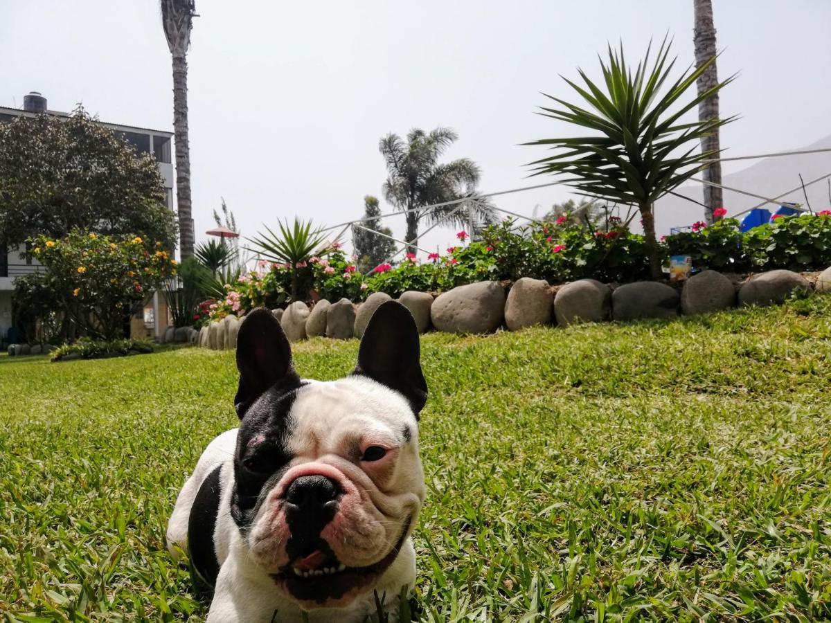 Mi Pequeno Club Hotel Lima Kültér fotó